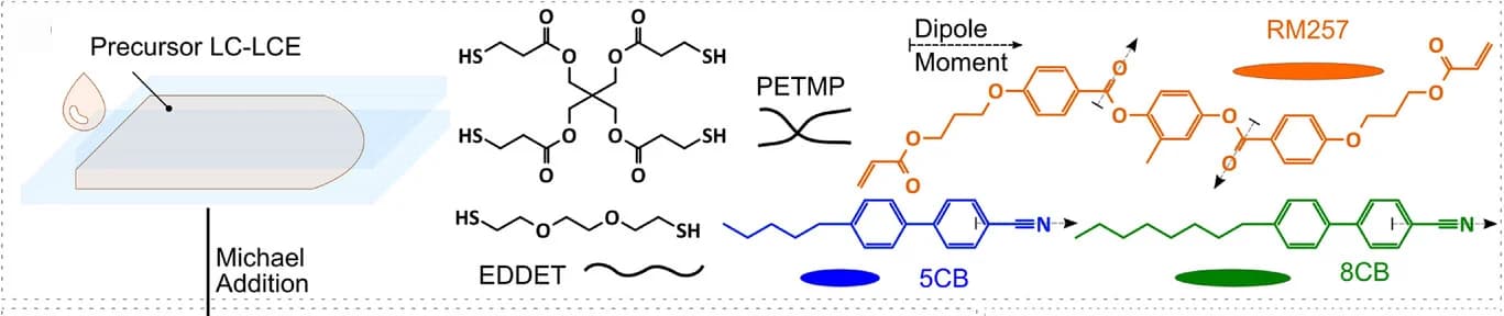 Open access visualization of Chemical Structure, Chemical Structures, Thiol Cross-linker, Chain Extender, Nematic LC Monomer