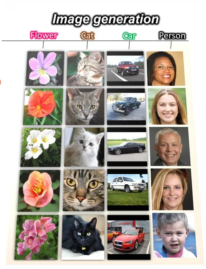 Open access visualization of Table Image, Generated Images, Flowers, Cats, Cars