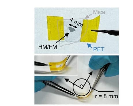 Open access visualization of Photo, Membrane, Mica Substrate, Bending Test