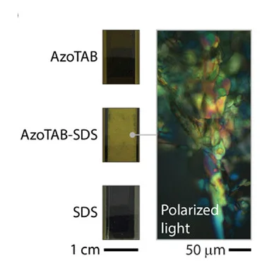 Open access visualization of Microscopy, Photo, SDS, AzoTAB, Mixture