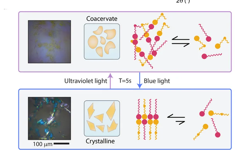 Open access visualization of Illustration, Microscopy, Workflow, Crystalline, Coacervate