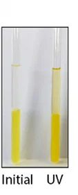 Open access visualization of Photo, SDS-AzoTAB Assembly, Oil-Water System, Phase Partitioning, Lighting Conditions