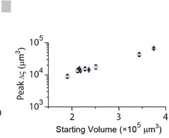 Open access visualization of Scatter Plot, Error Bars, Volume Change, Starting Volume, Miscible Droplets