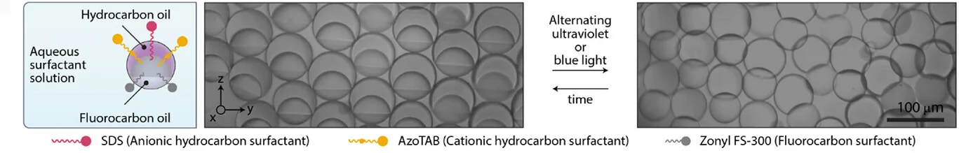 Open access visualization of Microscopy, Illustration, Janus Emulsion Droplets, Optical Micrographs, Actuation