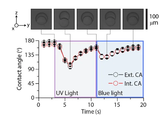 Open access visualization of Line Plot, Error Bars, Microscopy, Contact Angle Measurements, Droplets