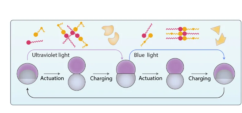 Open access visualization of Workflow, Flowchart, Illustration, Light Application, Precipitate