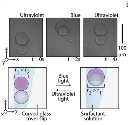 Open access visualization of Microscopy, Illustration, Emulsion Droplets, AzoTAB-SDS, Zonyl