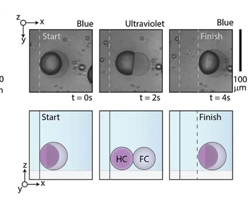 Open access visualization of Microscopy, Illustration, Complex Droplets, Phase Separation, Density Matching