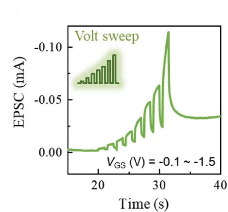 Open access visualization of Line Plot, Line Step, Voltage Sweep, OECT