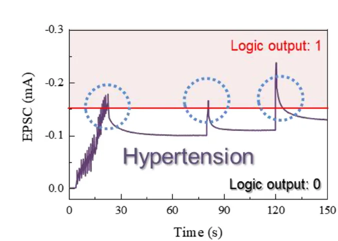 Open access visualization of Line Plot, Risk Classification, Pulse Weights, Logic, Hypertension