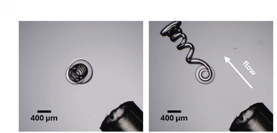 Open access visualization of Microscopy, 3D Printed Helical Spring, Water Flow, Microliter Pipette, Optical Microscopy