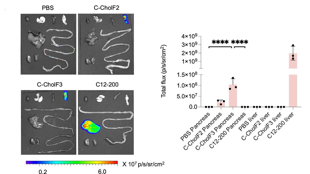 Open access visualization of Bar Plot, Error Bars, Photo, Microscopy, IVIS Images