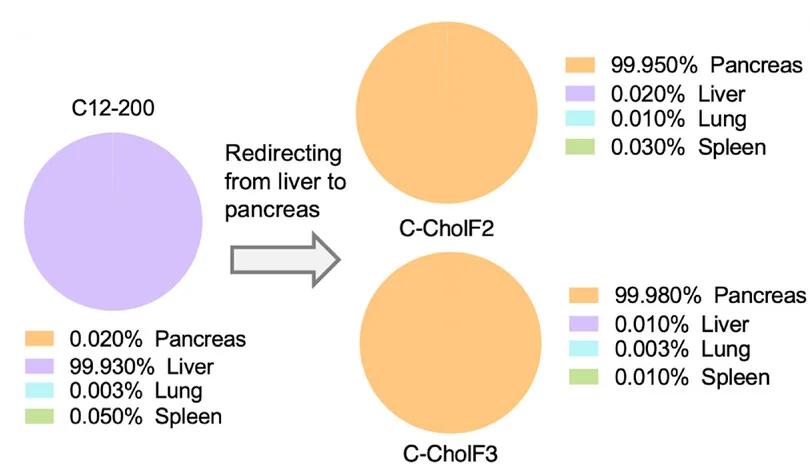 Open access visualization of Pie Chart, Protein Expression, Pie Charts, Intravenous Injection, C12-200