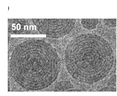 Open access visualization of Microscopy, Cryo-EM, C-CholF3, LNPs