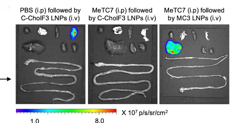 Open access visualization of Photo, VDR, Mice, MeTC7, PBS