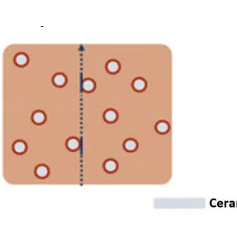 Open access visualization of Illustration, Ion Conduction, PCEs, Nanoparticle Fillers, Low-Aspect-Ratio