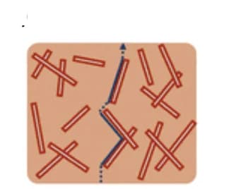 Open access visualization of Illustration, Ion Conduction, PCEs, Nanowire Fillers, High-Aspect-Ratio