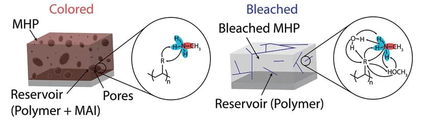 Open access visualization of Illustration, Chemical Structure, MHP Films, Colored State, Bleached State