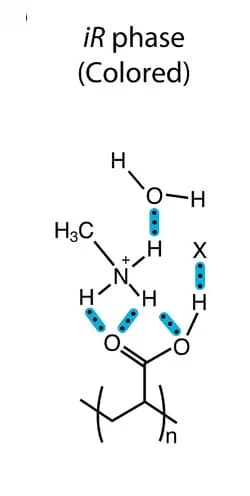 Open access visualization of Chemical Structure, Hydrogen Bonds
