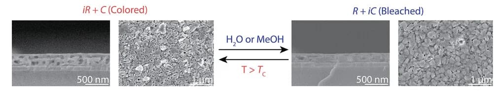 Open access visualization of Microscopy, Photo, Scanning Electron Microscopy, MHP Films, Polymer