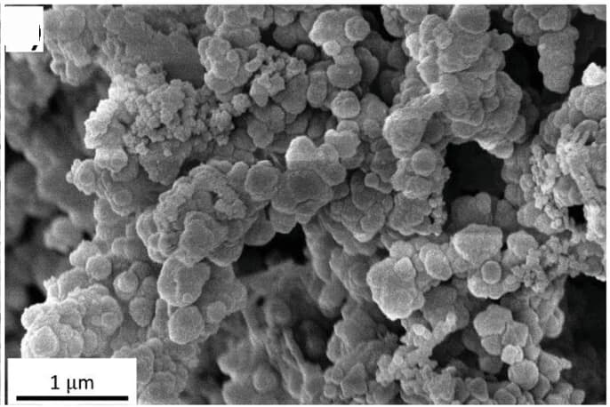 Open access visualization of Microscopy, SEM, Fe3O4@COF-2