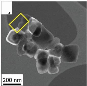 Open access visualization of Microscopy, STEM Images