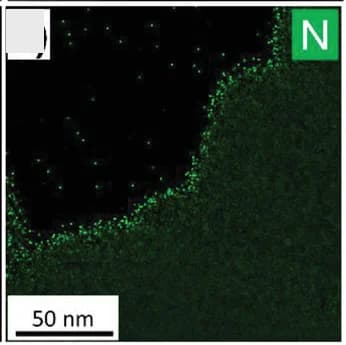 Open access visualization of Microscopy, STEM-EDX, Elemental Mapping, Nitrogen