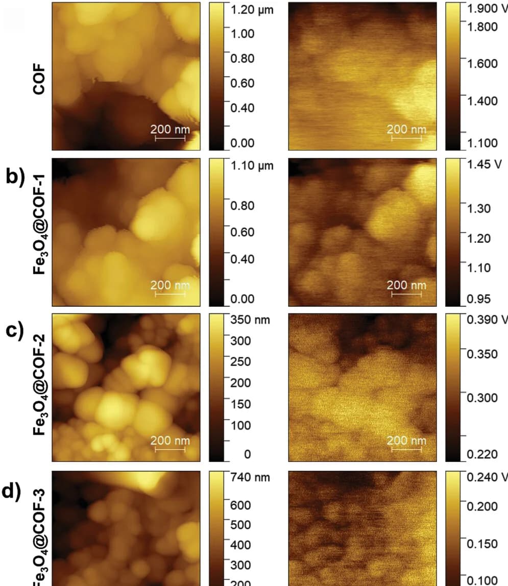 Open access visualization of Microscopy, Kelvin Probe Force Microscopy, COF, Topography, Contact Potential Difference