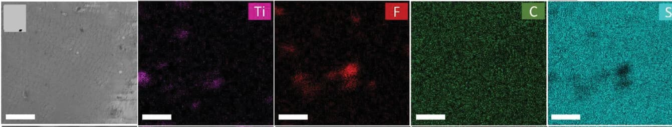 Open access visualization of Microscopy, SEM-EDX, Elemental Mapping, PDMS/MXene-5 Films