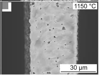 Open access visualization of Microscopy, Cross-Section, SEM, LLZO Membranes, Membranes