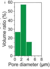 Open access visualization of Histogram, Pore size histogram, LLZO membrane, X-ray computed tomography