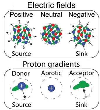 Open access visualization of Illustration, Correlated Electrolytes, Charge Imbalances, Electric Field, Ionic Aggregates