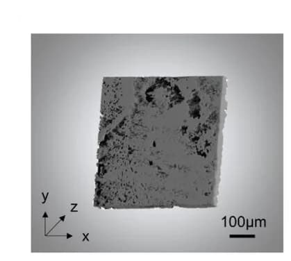 Open access visualization of Microscopy, 3D X-ray CT images, Cathode composite, Cathode, SE