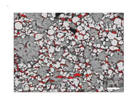 Open access visualization of Microscopy, SEM images, LiDFBOP, NCM