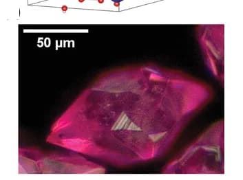 Open access visualization of Microscopy, Optical Microscope, Crystal, Fe0.55Co0.45BPO