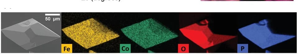 Open access visualization of Microscopy, SEM/EDX Mapping, Elemental Distribution, Fe0.55Co0.45BPO