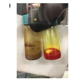 Open access visualization of Photo, Si@polyPMI NPs, Optical Images, Hyperbranched polyPMI