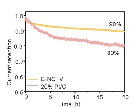 Open access visualization of Line Plot, Chronoamperometry, E-NC-V, Pt/C, Electrocatalysis