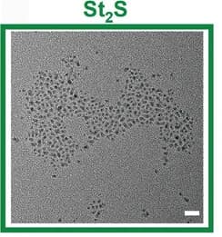 Open access visualization of Microscopy, TEM, AgBiS2 QDs, St2S, Sulfur Precursor