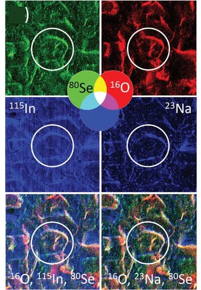 Open access visualization of Microscopy, SIMS, Elemental distributions, Selenium, Oxygen
