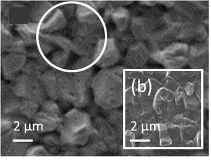 Open access visualization of Microscopy, SEM, Na-doped CIS film, Air exposure