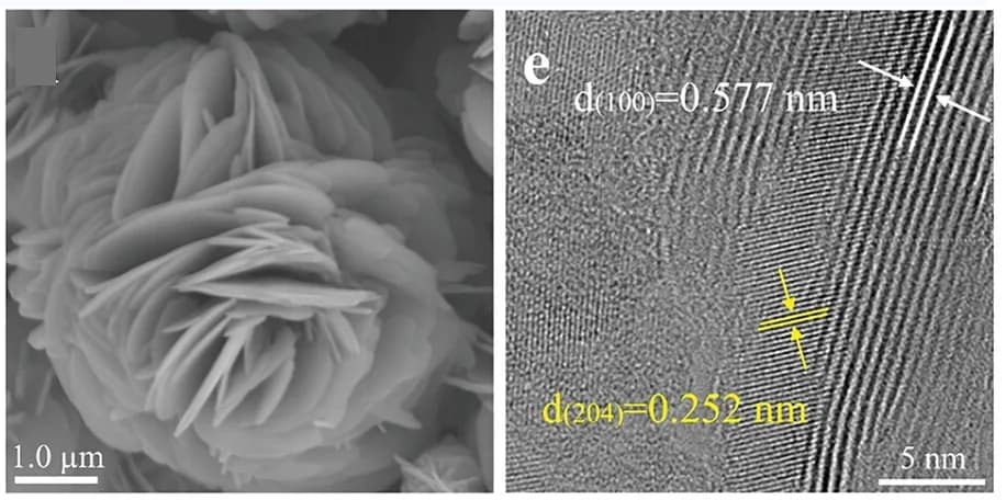 Open access visualization of Microscopy, 3D-VSx, Electron Microscopy, SEM Images