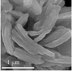 Open access visualization of Microscopy, SEM Images, 3D-VSxelectrode, Charge
