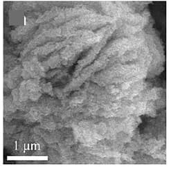 Open access visualization of Microscopy, SEM Images, Reactivation, 3D-VSxelectrodes, Cycles