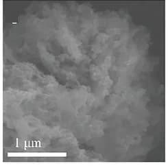 Open access visualization of Microscopy, SEM Images, Reactivation, 3D-VSxelectrodes, Cycles