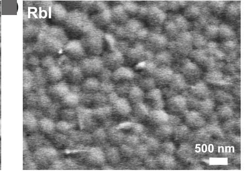 Open access visualization of Microscopy, SEM Images, Sn-Pb Perovskite Films, Surface Morphology, Reference