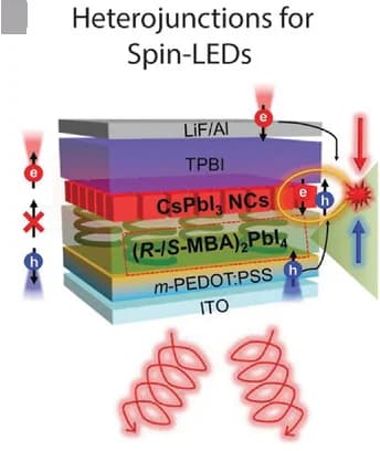 Open access visualization of Illustration, Workflow, Charge Carrier Spin, Heterojunctions, MHP NCs