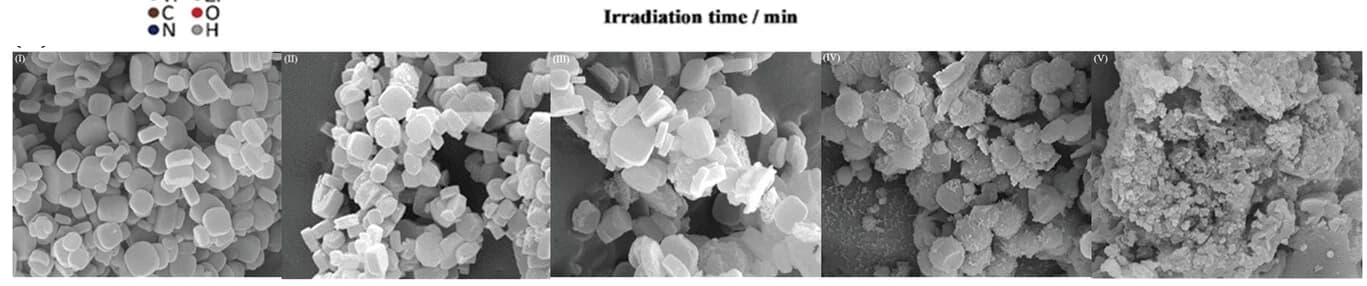 Open access visualization of Microscopy, SEM images, Ti, TiZr15, TiZr30