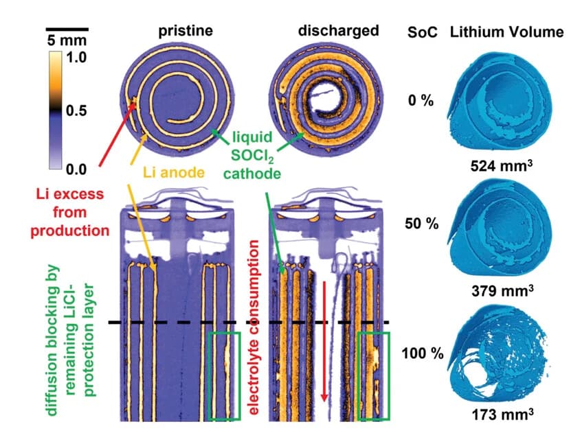 Open access visualization of Microscopy, Photo, Lithium Mass Transport, Lithium Metal Anode, Thionyl Chloride Cathode