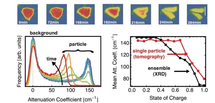 Open access visualization of Line Plot, Density Plot, Microscopy, Synchrotron X-ray CT, Internal Structure